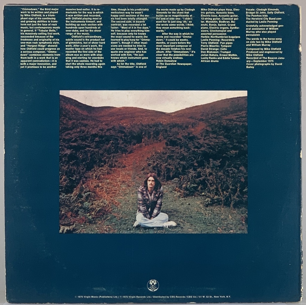 英LP Mike Oldfield Ommadawn UKオリジナル盤白レーベル Mike Oldfield - Ommadawn (LP usado) | Tracks Rio